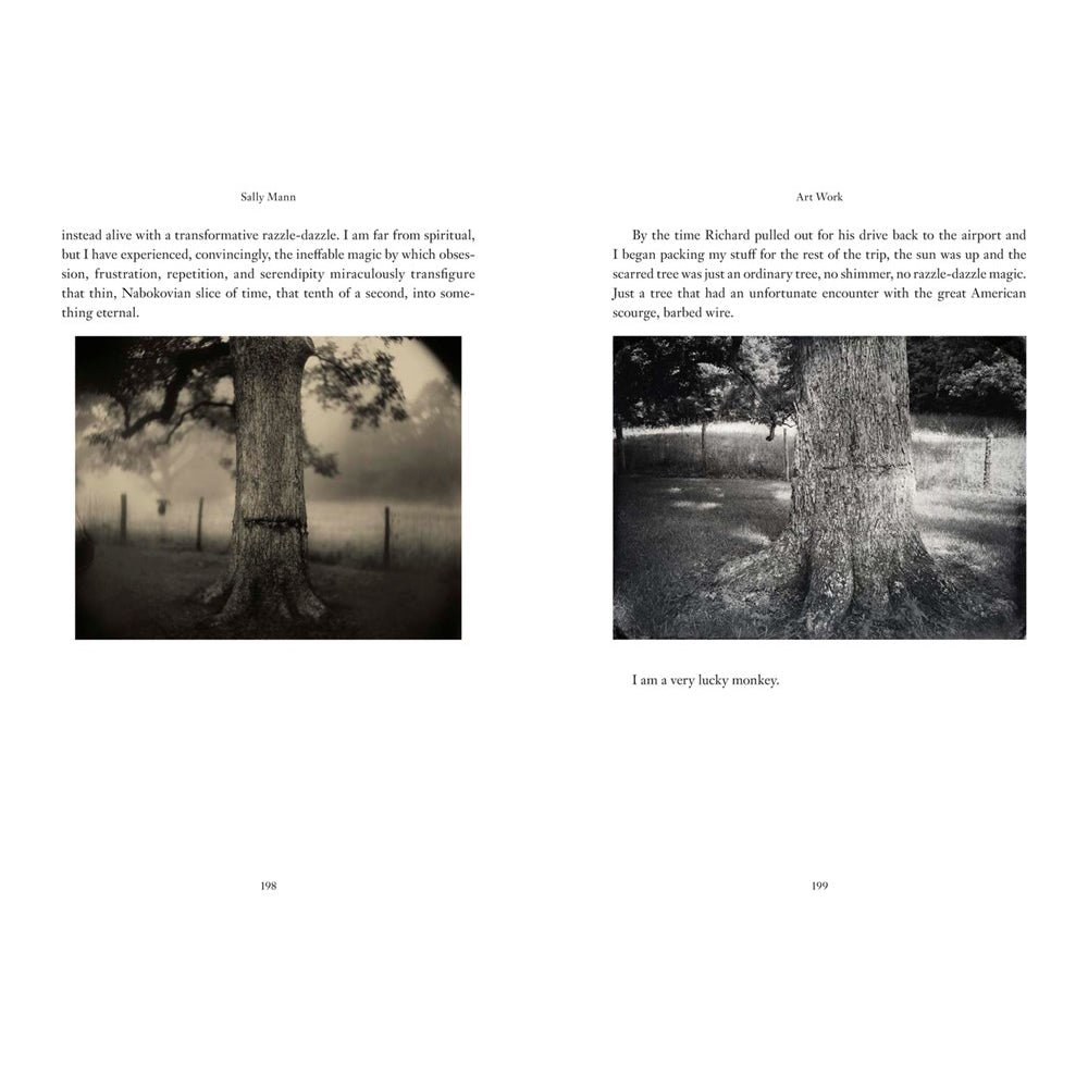 Two black and white images of a tree with text overlay on a white background