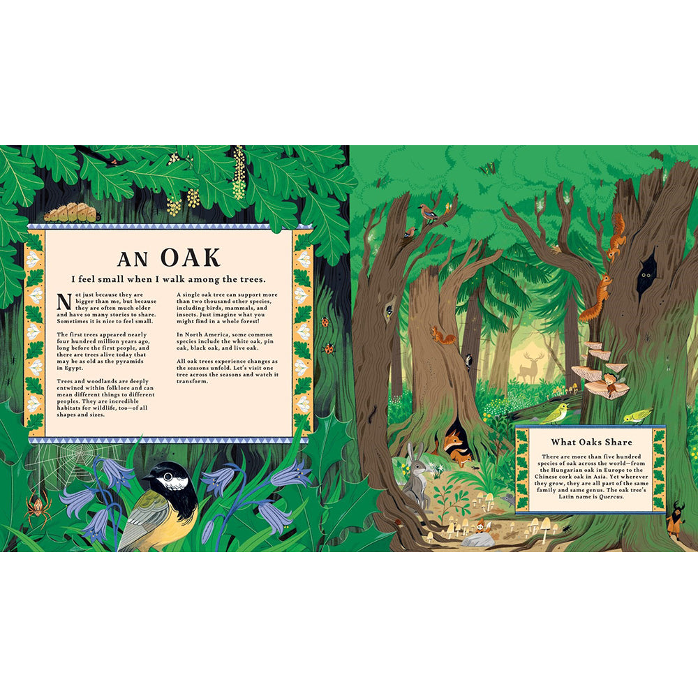 Book cover of 'Woodlore' with forest-themed illustrations and text.