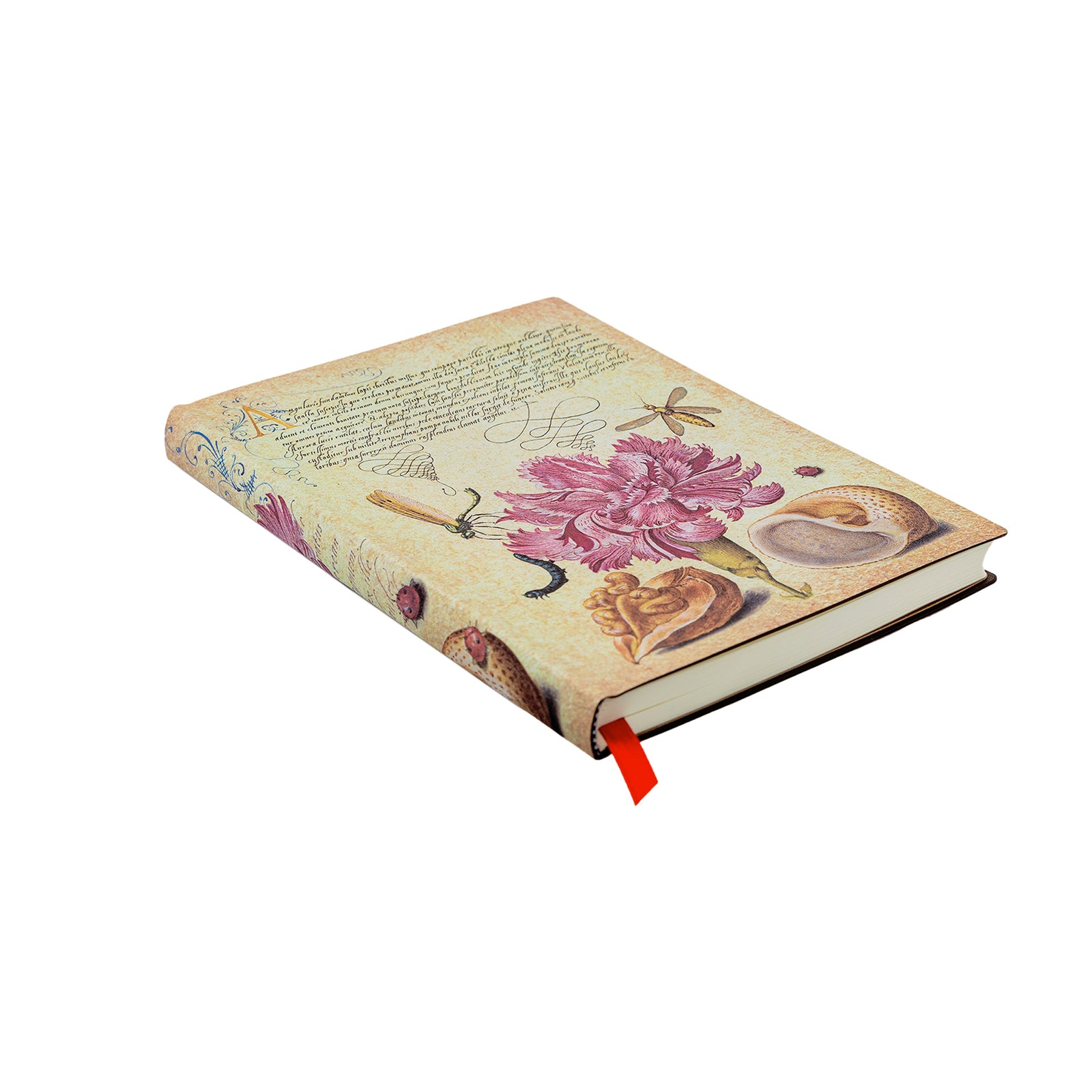 A cover of a Midi lined journal featuring a renaissance manuscript illustration with a prominent pink carnation, along with images of insects and shells.