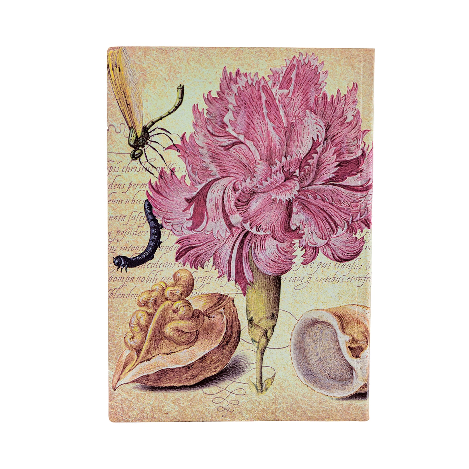 A cover of a Midi unlined journal featuring a pink carnation with accompanying floral and entomological illustrations from a historic manuscript.