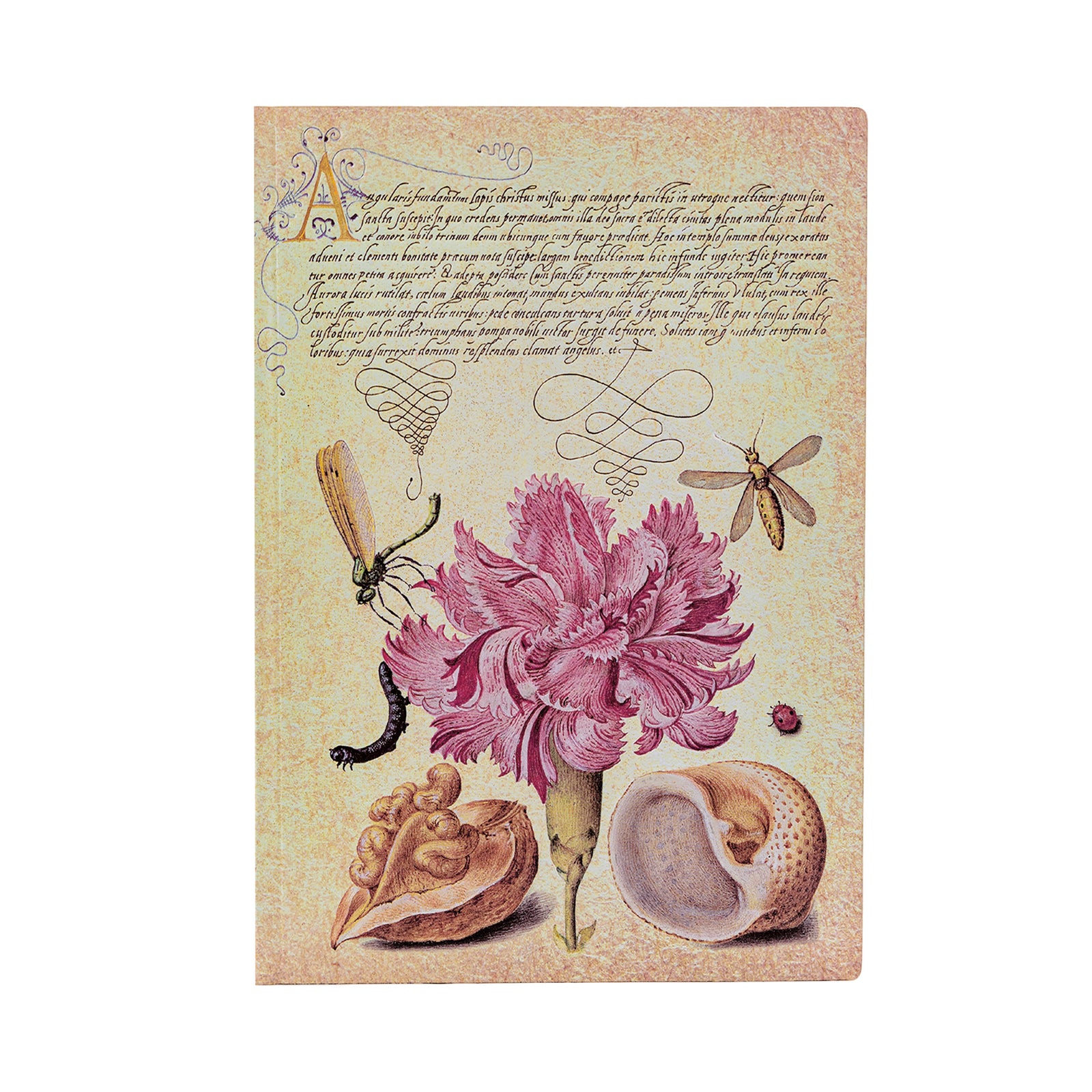 A cover of a Midi unlined journal featuring a pink carnation with accompanying floral and entomological illustrations from a historic manuscript.