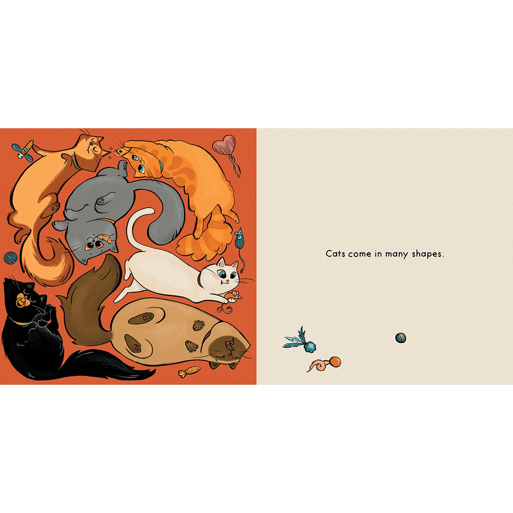 Cat Shapes