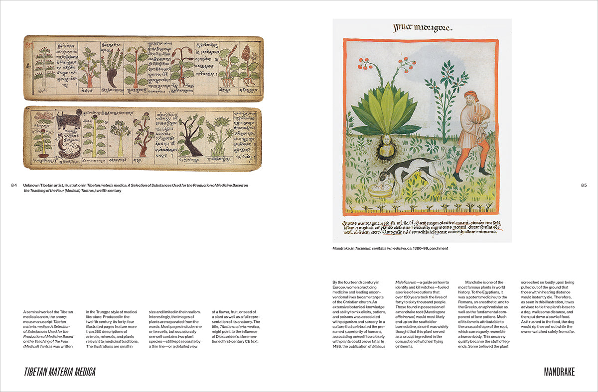 Botanical Revolutions: How Plants Changed the Course of Art