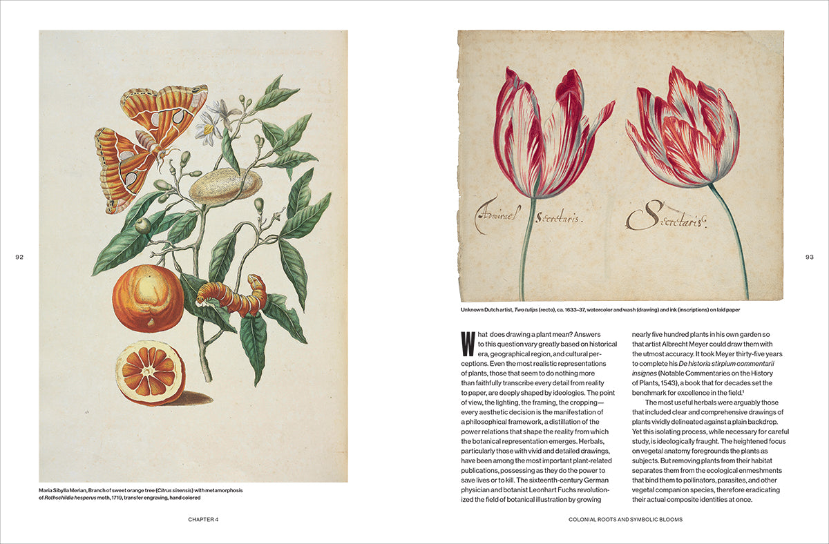 Botanical Revolutions: How Plants Changed the Course of Art