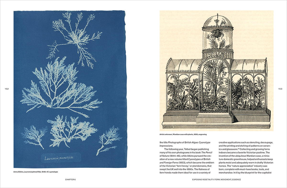 Botanical Revolutions: How Plants Changed the Course of Art