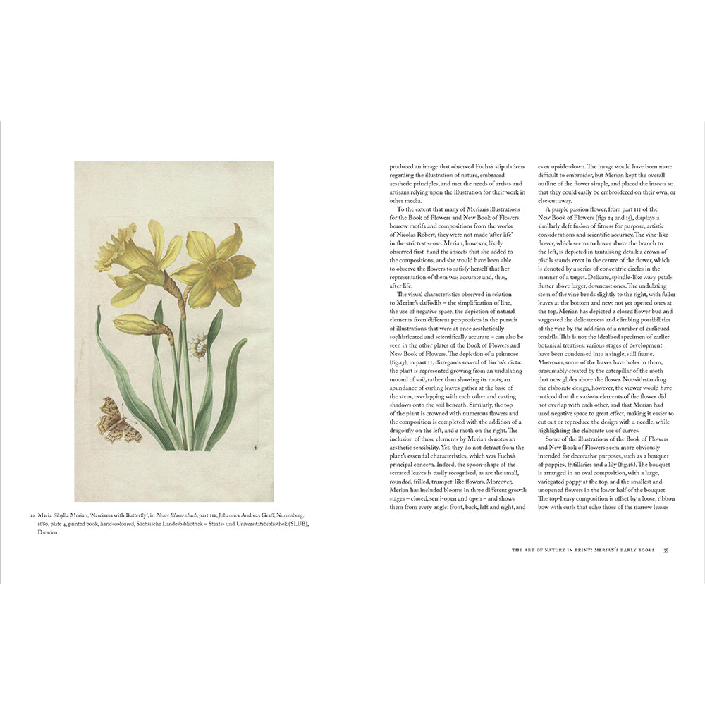 Book cover of 'Maria Sibylla Merian' featuring an illustration of a plant with an insect and a butterfly, along with the author's name.