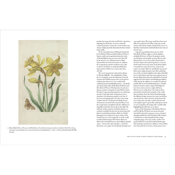 Maria Sibylla Merian - Getty Museum Store