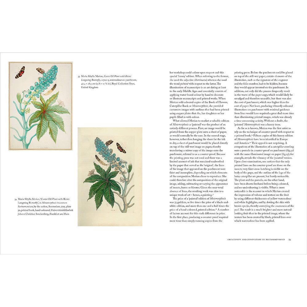 Maria Sibylla Merian