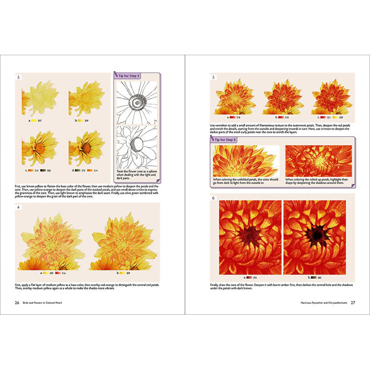 Birds and Flowers in Colored Pencil: Step-by-Step Tutorials and Techniques