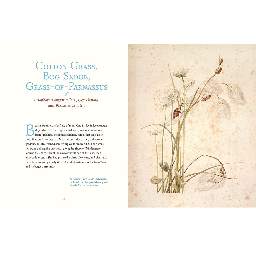 Beatrix Potter's Botanical: The Art of Flowers and Fungi