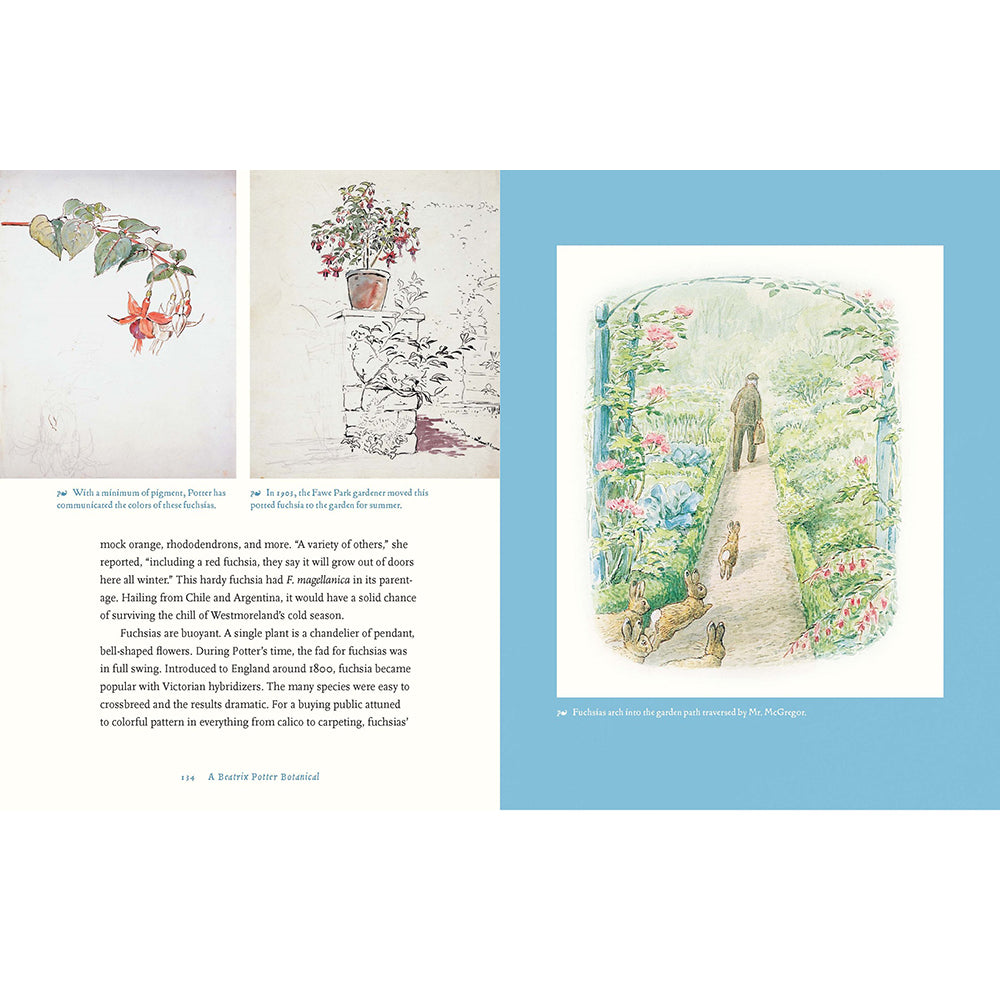 Beatrix Potter's Botanical: The Art of Flowers and Fungi