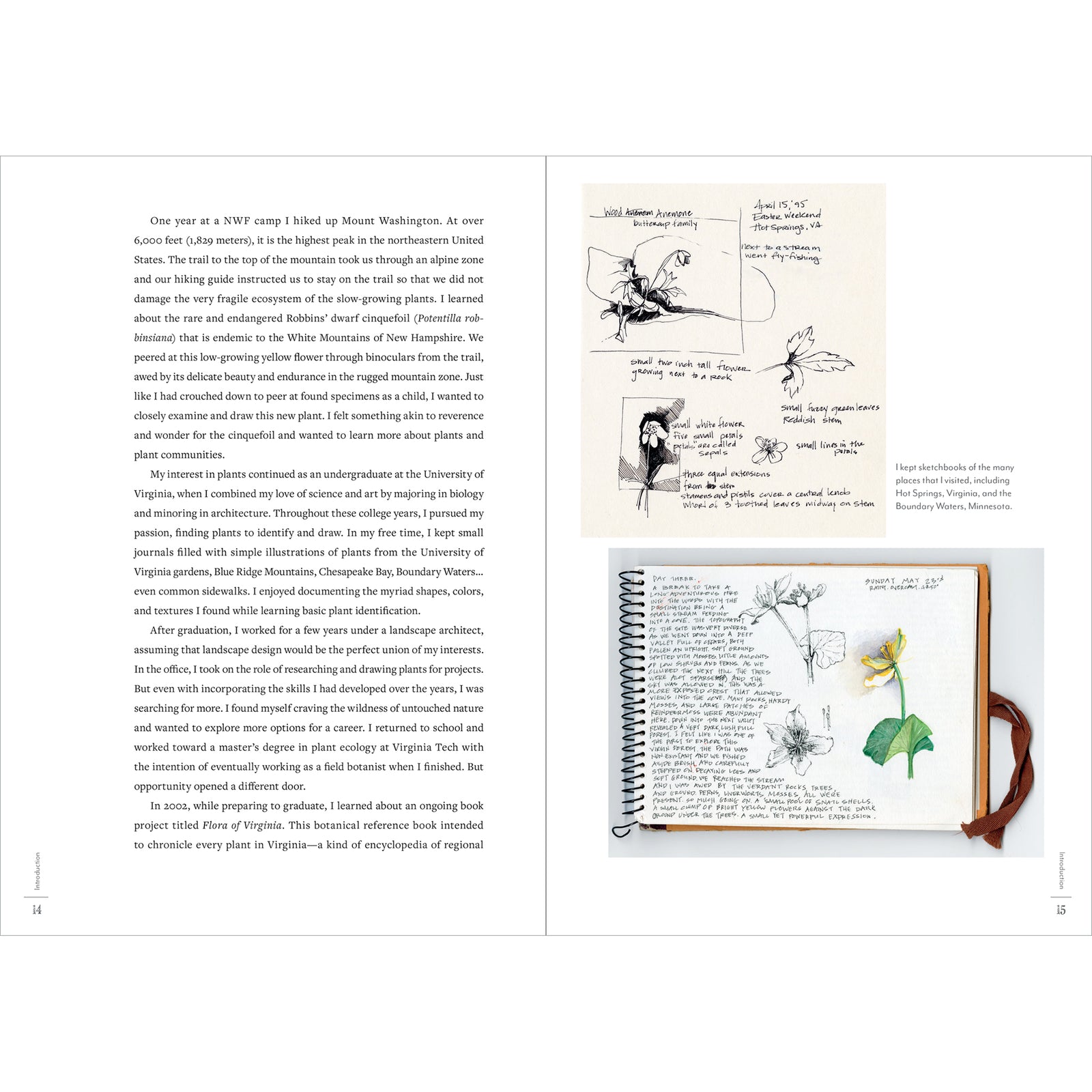 Book cover of 'A Perpetual Journal Practice' with nature-themed illustrations and text.