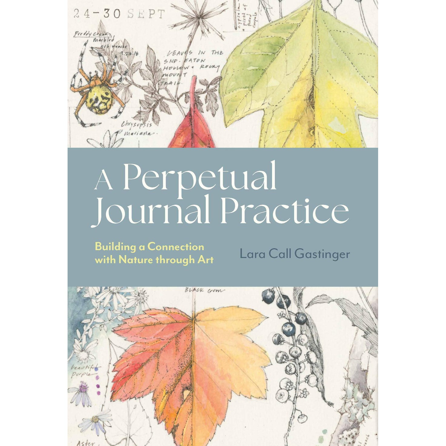 Book cover of 'A Perpetual Journal Practice' with nature-themed illustrations and text.