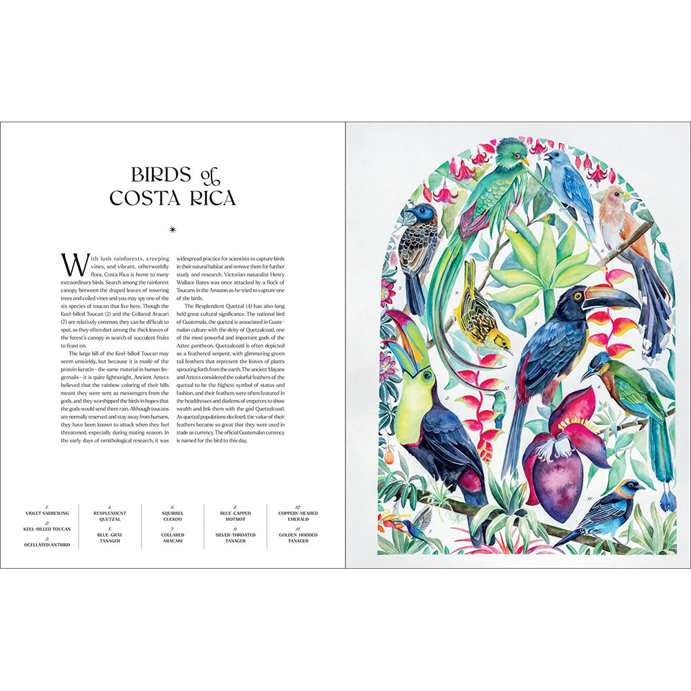 The Illuminated Book of Birds