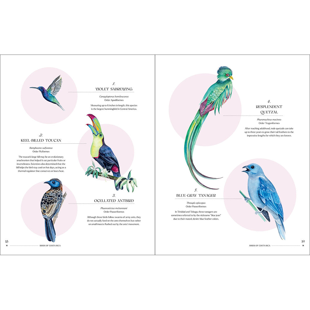 The Illuminated Book of Birds