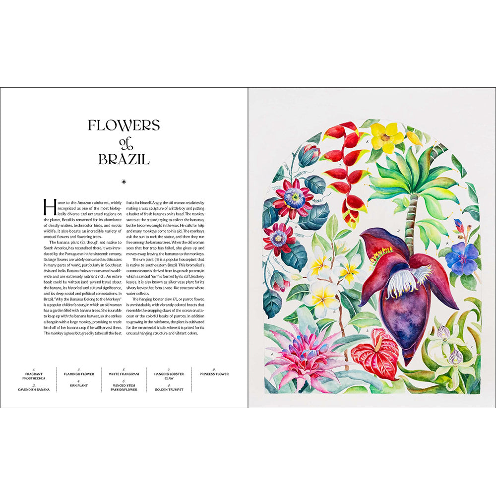 The Illuminated Book of Blooms