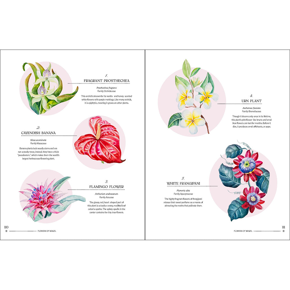 The Illuminated Book of Blooms