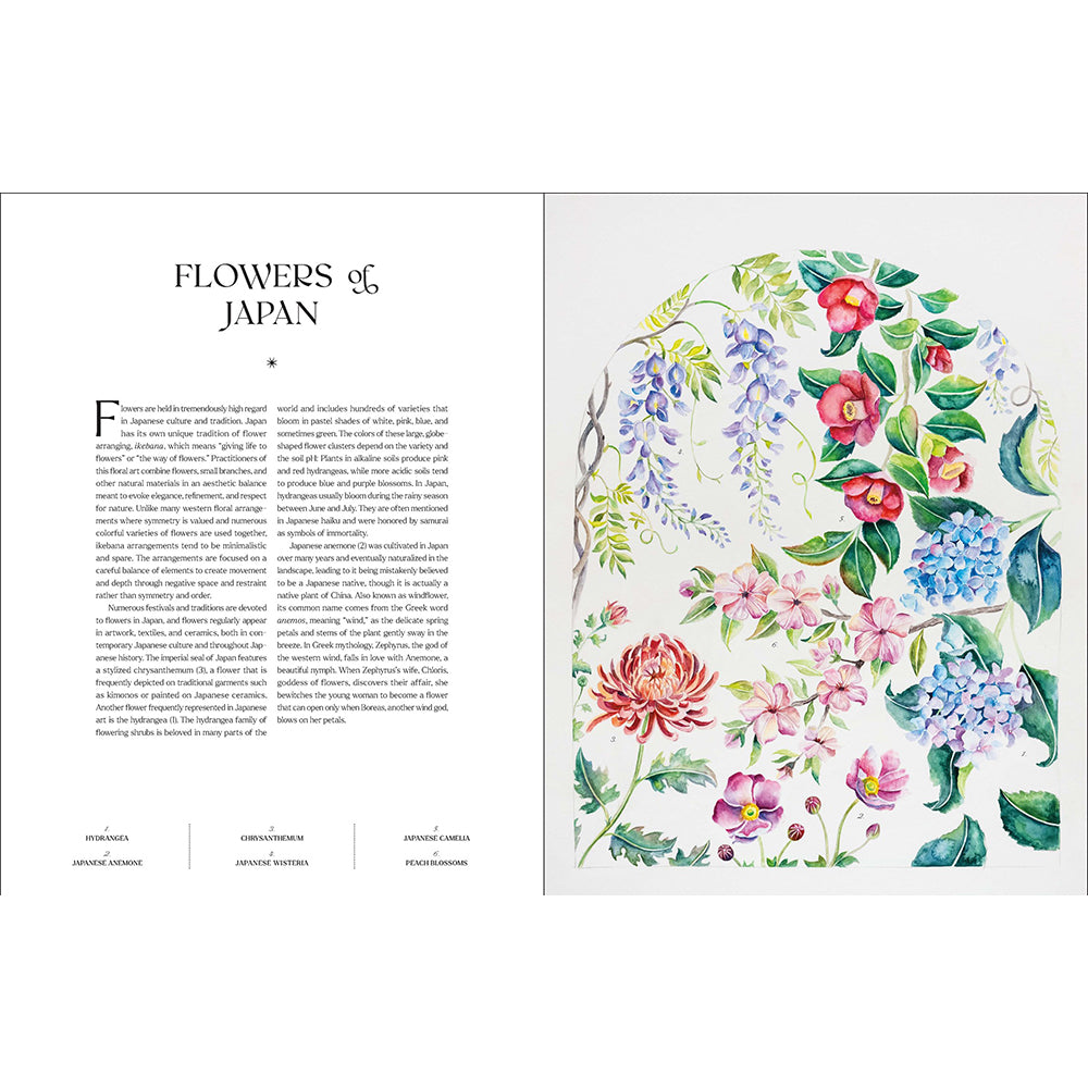 The Illuminated Book of Blooms