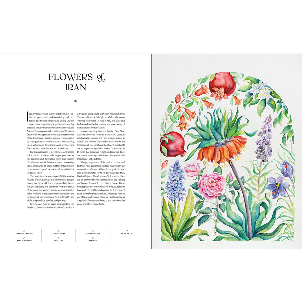 The Illuminated Book of Blooms