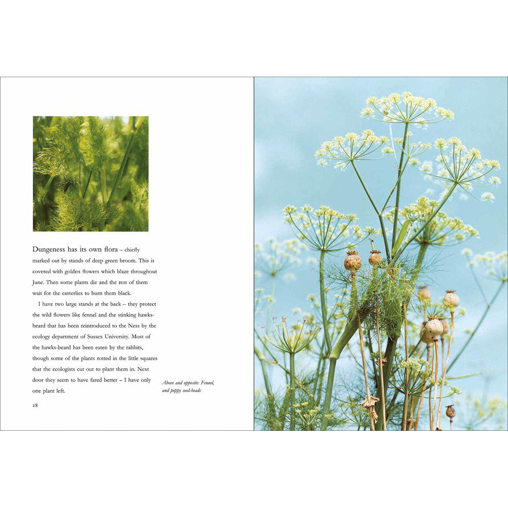 Derek Jarman&#39;s Garden: 30th Anniversary Edition