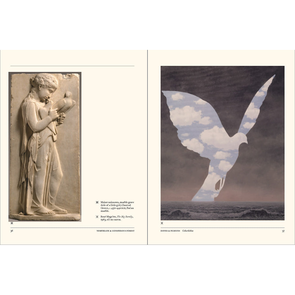 Flight: The Secret Language of Birds in Art and Folklore