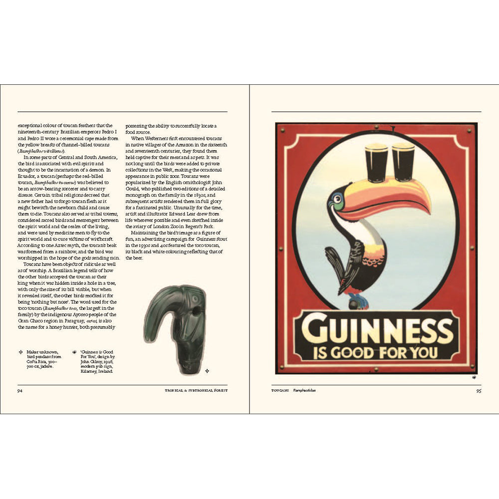 Flight: The Secret Language of Birds in Art and Folklore