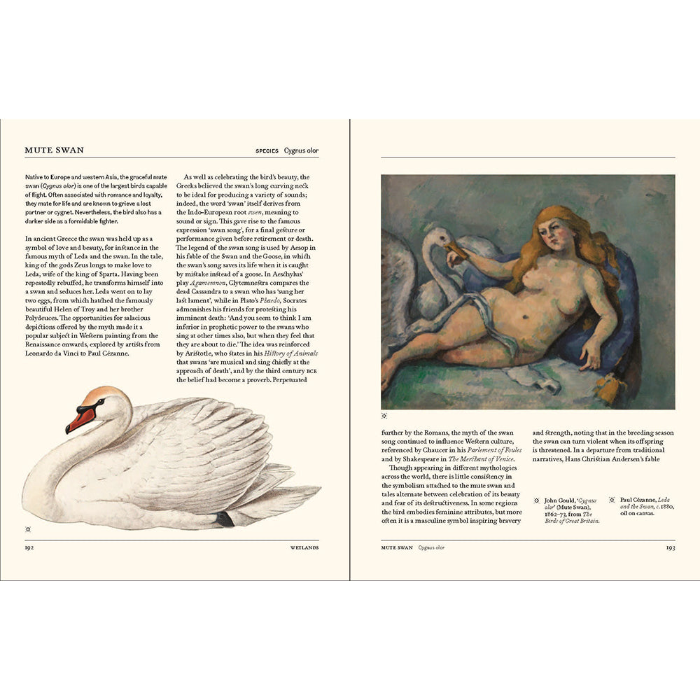 Flight: The Secret Language of Birds in Art and Folklore