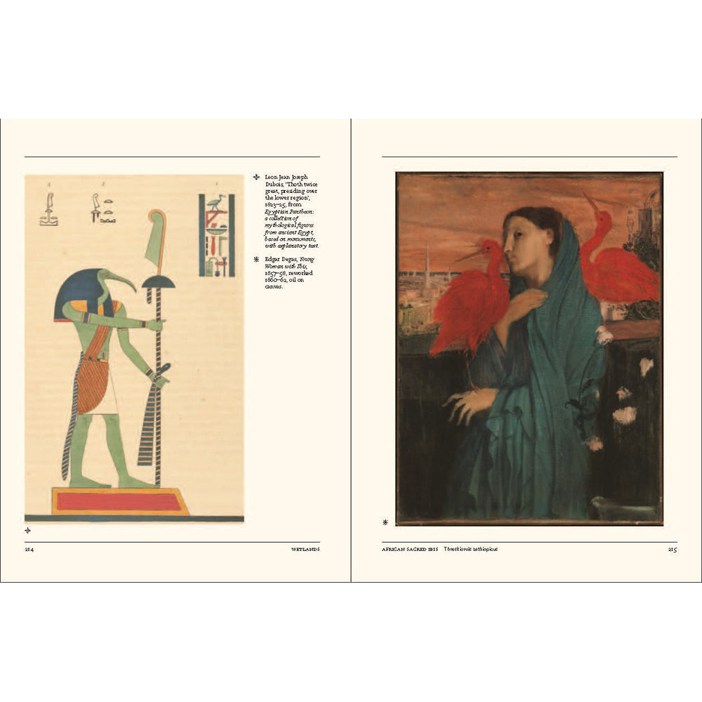Flight: The Secret Language of Birds in Art and Folklore