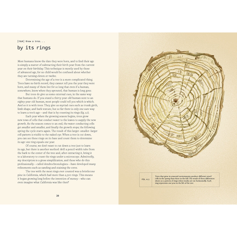 Forty Ways to Know a Tree: Exploring Trees to Understand Nature