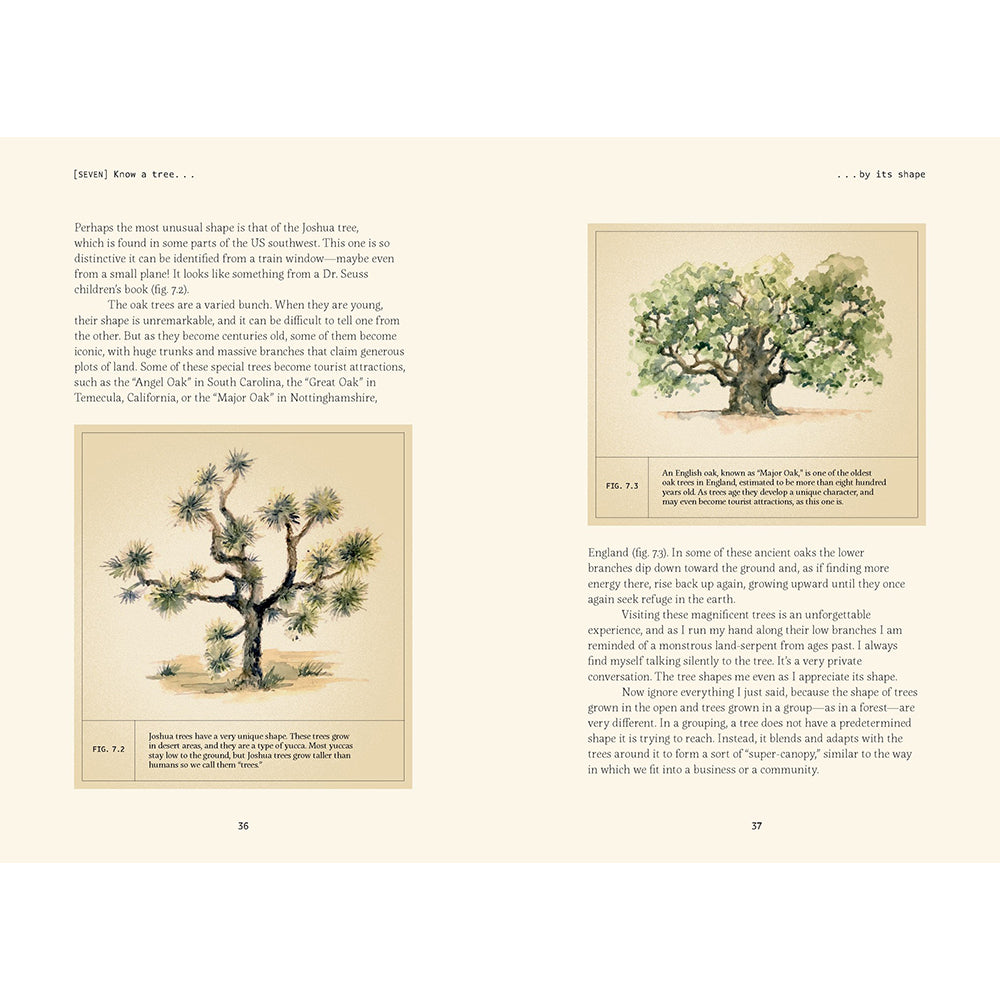 Forty Ways to Know a Tree: Exploring Trees to Understand Nature