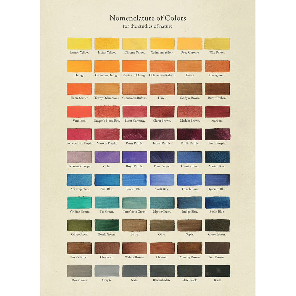 The Collage Compendium: 2,000 Images to Cut Out & Collage