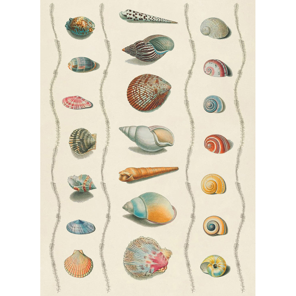 The Collage Compendium: 2,000 Images to Cut Out & Collage