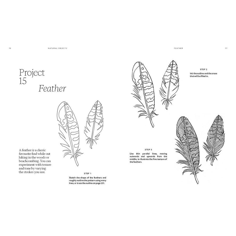 Illustrations of feathers with step-by-step instructions on a white background