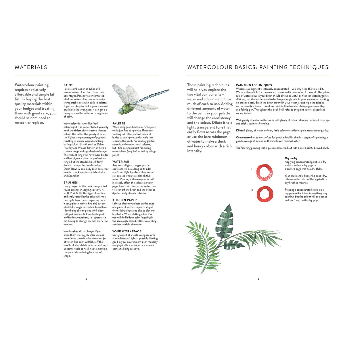 Interior page from the book Botanical Watercolour Art Pad: 15 Flowers, Plants and Animals for You to Paint