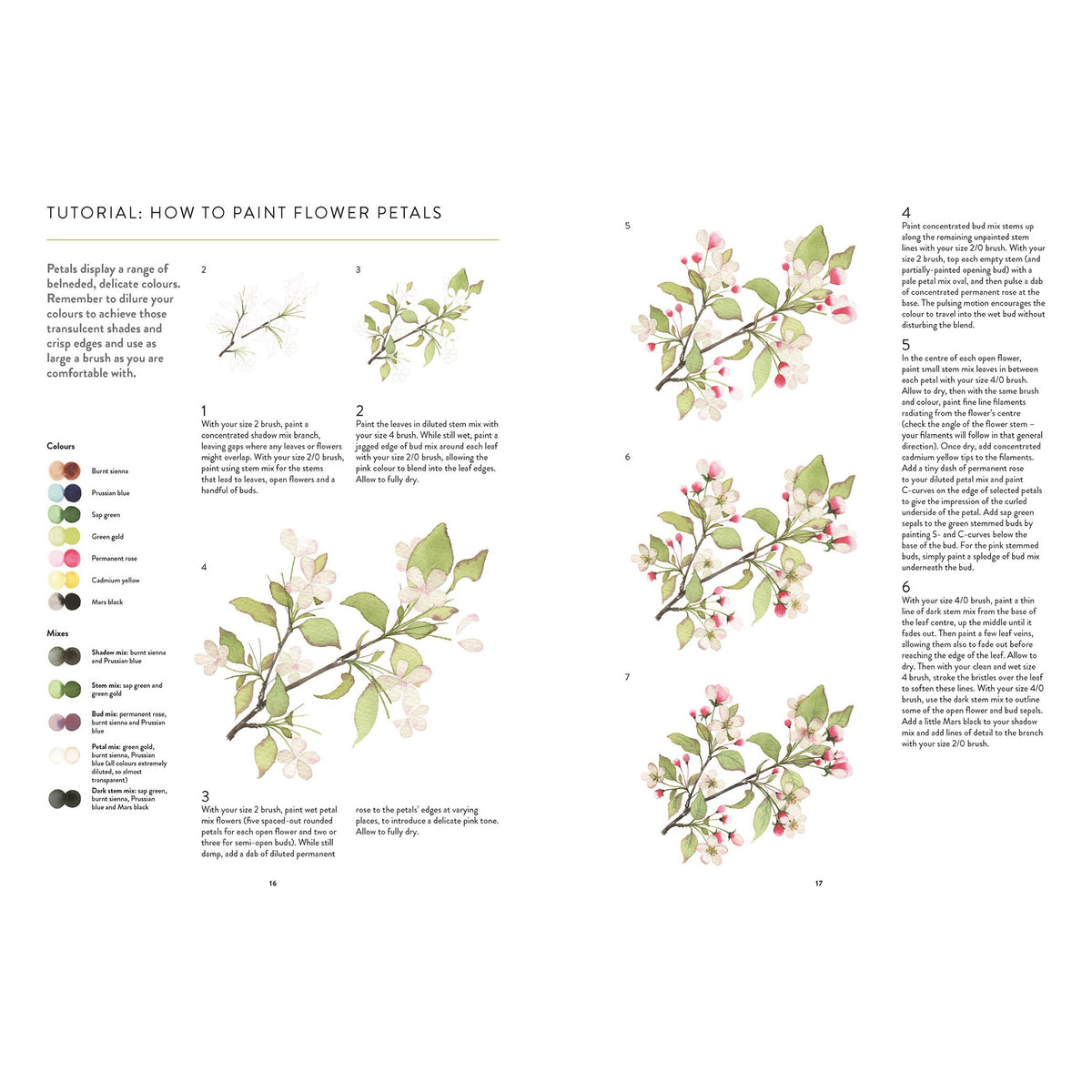 Interior page from the book Botanical Watercolour Art Pad: 15 Flowers, Plants and Animals for You to Paint