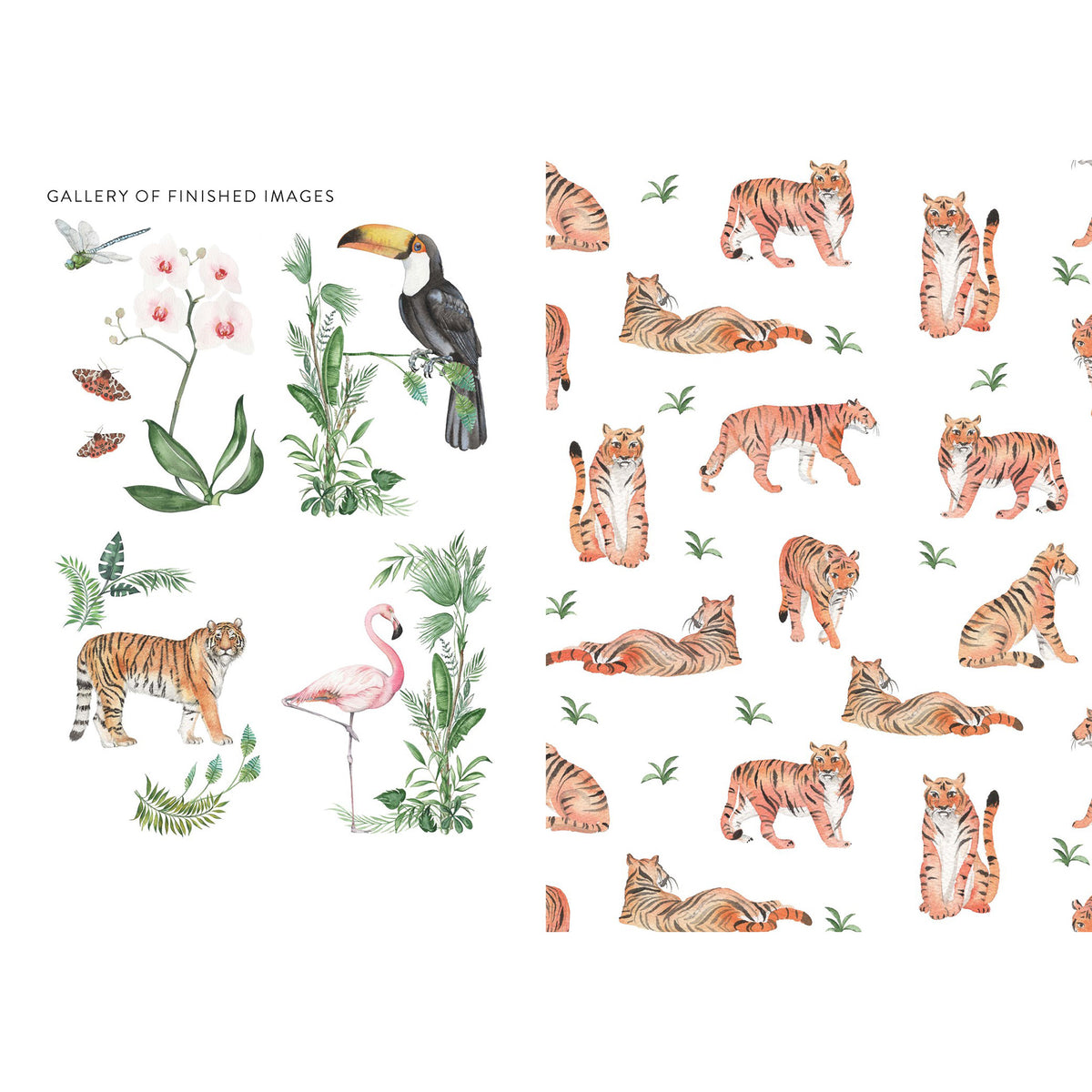 Interior page from the book Botanical Watercolour Art Pad: 15 Flowers, Plants and Animals for You to Paint