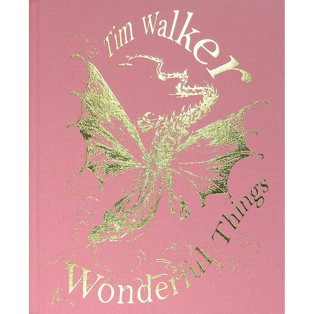 Book cover with gold butterfly illustration and 'Tim Walker Wonderful Things' text on a pink background