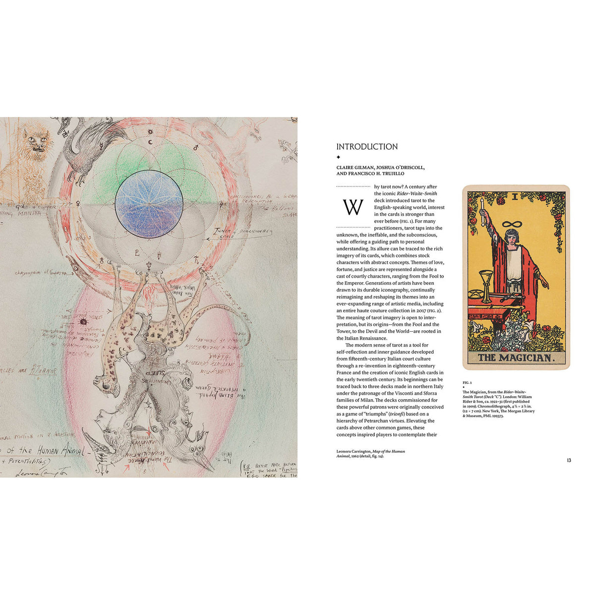 Book open to a page with astrological diagram and tarot card illustration