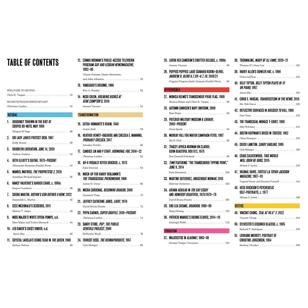 Cover of the book 'Trans Hirstory in 99 Objects' with a purple background and decorative text borders in a gothic typeface.