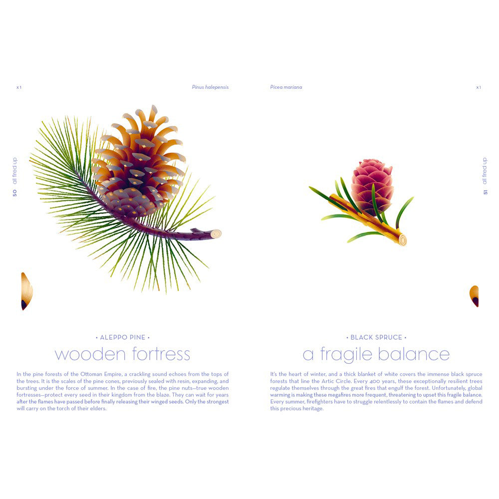 the most beautiful illustrations of plants and seeds Seeds : Nature's Intrepid Miracles