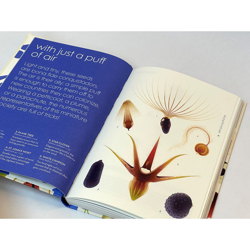 the most beautiful illustrations of plants and seeds book Seeds : Nature's Intrepid Miracles