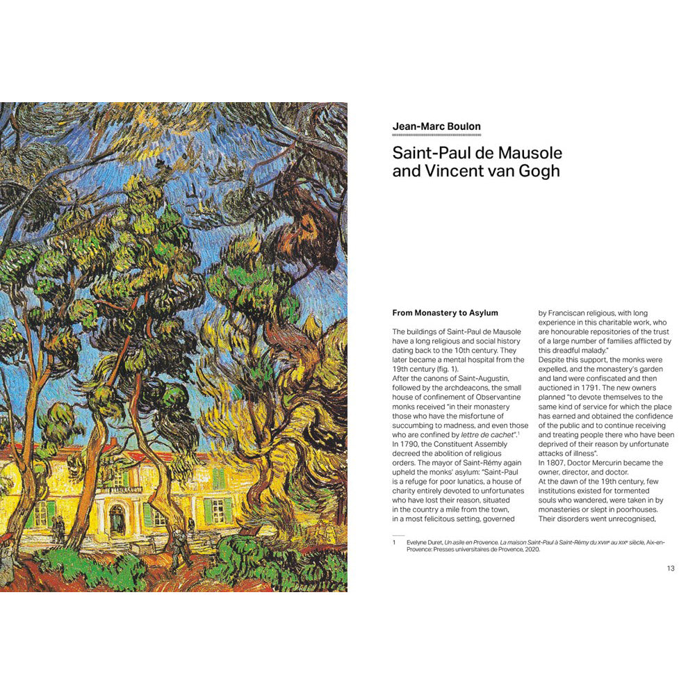 Vincent van Gogh in Saint Rémy-de-Provence