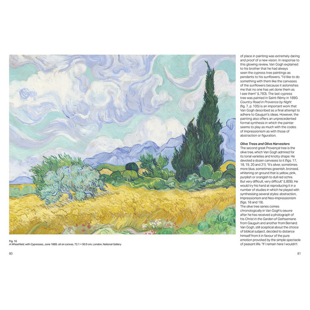 Vincent van Gogh in Saint Rémy-de-Provence
