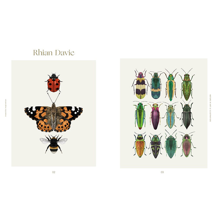 Insectile Inspiration: Insects in Art and Illustration