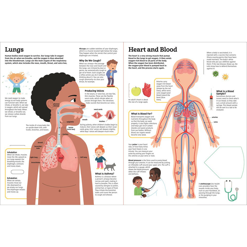 Educational illustration of lungs and heart and blood systems with text and graphics on a white background.