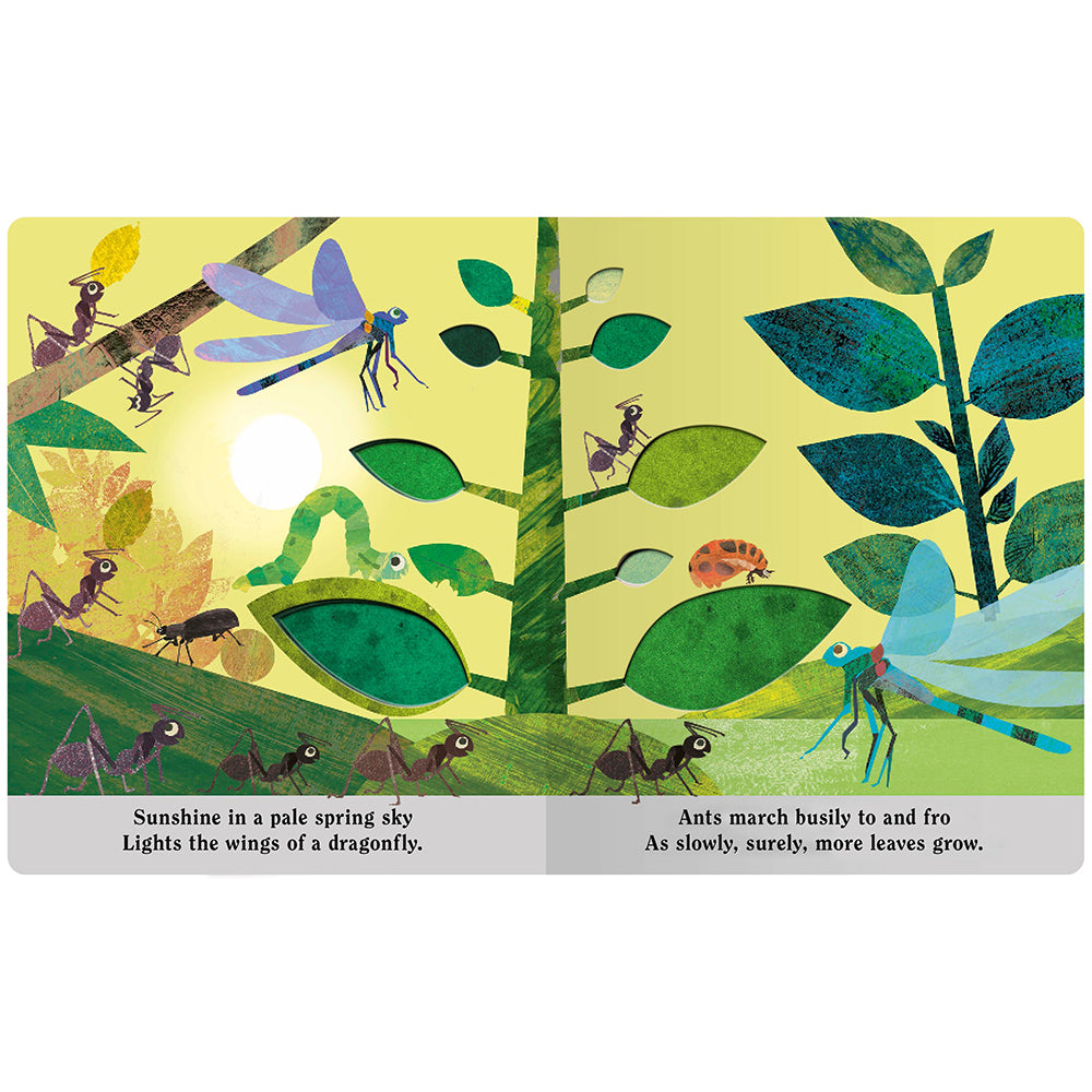 Bugs: A Peek-Through Board Book