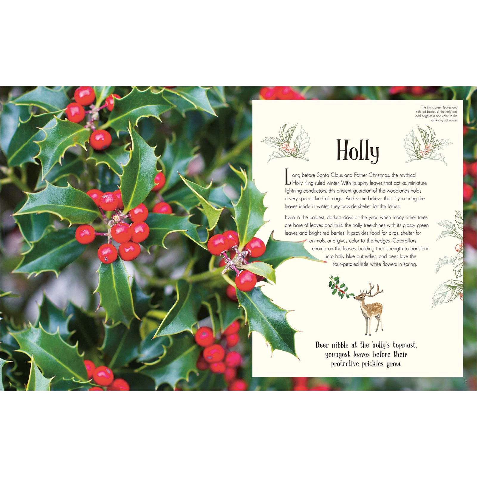 Book cover of 'An Anthology of Christmas' with decorative elements on a red background