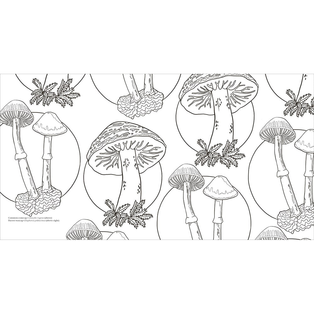 Fascinating Fungi: Over 75 Natural Wonders to Color and Explore
