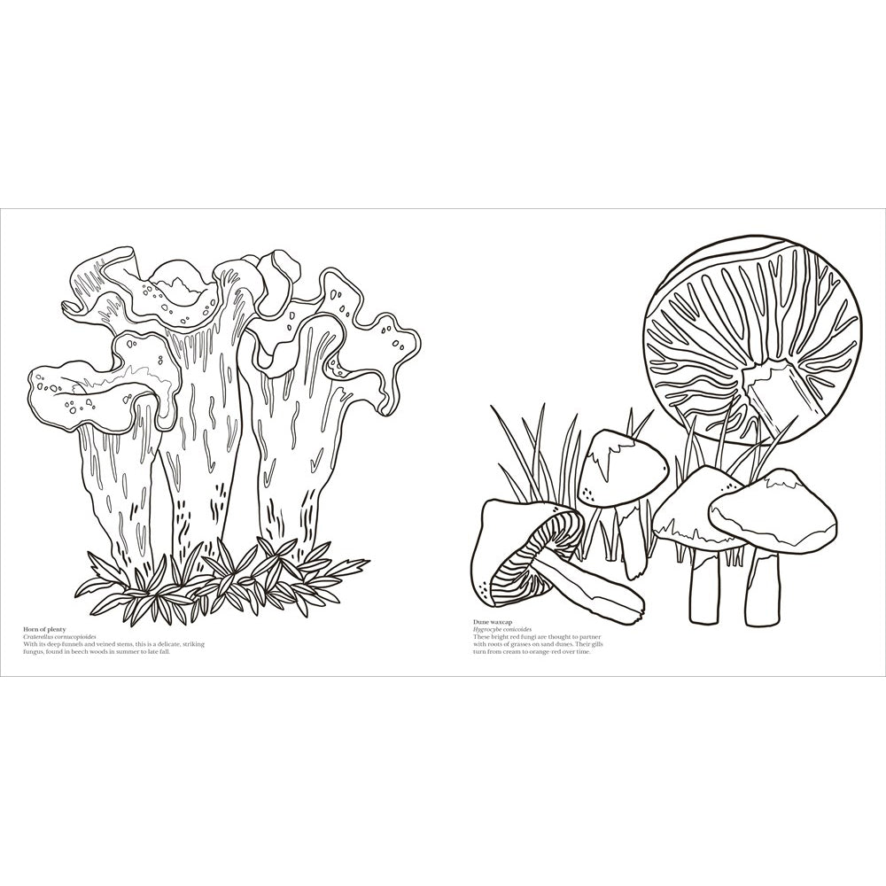 Fascinating Fungi: Over 75 Natural Wonders to Color and Explore