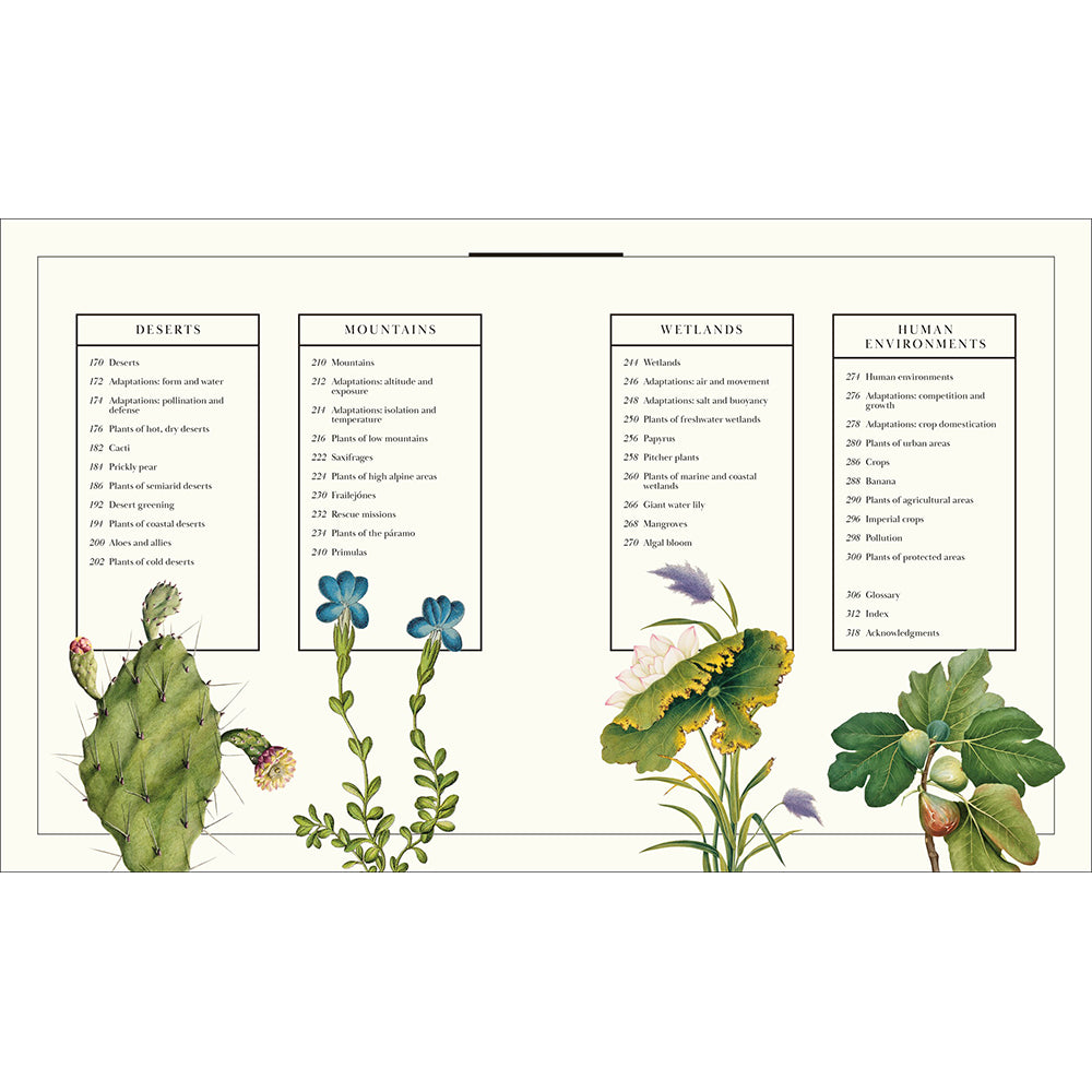 Atlas of Botany: An Exploration of Plants Across Time and Around the World
